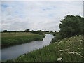 River  Derwent  north  of  Loftsome  Bridge