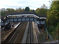 Hagley Footbridge