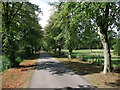 The Viking Way through the National Golf Centre, Woodhall Spa