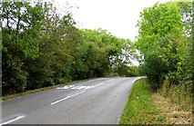 SK6018 : Big Lane towards Paudy Crossroads northwards by Andrew Tatlow