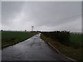 TF1577 : Road to Walk Farm in the rain by J.Hannan-Briggs