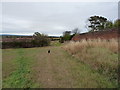 Footpath towards Admaston