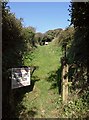 Footpath near Portwrinkle