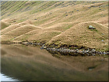 NY4212 : Drumlins beside Hayeswater by Trevor Littlewood