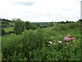N9673 : View downstream along the Boyne Valley from near the Slane Bridge by Eric Jones