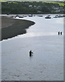 SX9372 : Fishing in the Teign  by Robin Stott