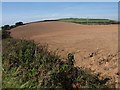 Tilled field, Portwrinkle