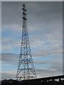 Pylon on the East bank of the River Avon