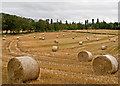 Farmland near Tullibardine