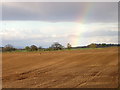 Arable field near Keillor