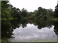 Lake near Holbeck Manor