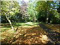 Line of the old railway in Brenchley Gardens