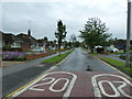 Speed limit signs in Golden Riddy