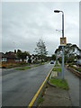 Lamppost in Golden Riddy