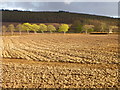 Arable fields near Kettins