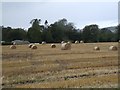 Hay bales, Arlary Farm