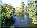 TQ3174 : Pond in Brockwell Park by Marathon