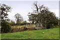 Footbridge, Ivington Common