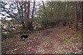 Footpath below Woodhouse Hill