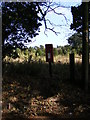 Monument Farm Postbox