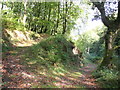 Path junction, Hawkcombe Woods