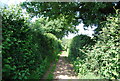 Footpath to Sutton Abinger