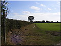 Footpath to Burnt House Lane