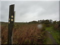 Bracken, footpath signs, Stubbing Lane