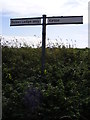 Roadsign on Back Lane, Lower Falkenham