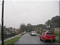 Cecil Avenue - viewed from Gathorne Street