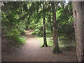 Path through Jarn Mound wild garden