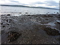 On the beach below Easterton, which is well above the shore, on a raised beach