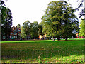 Acton Green Common