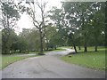 Pathway - Horton Park