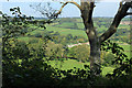 2011 : Scene through a hedgerow on Stoodly Lane