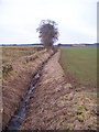 Burn Near Crumrig