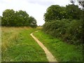 Footpath on Milton Common