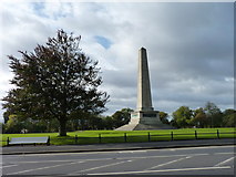 O1334 : Wellington monument by James Allan