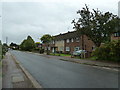 Houses in Cedars Grove