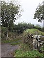 Lane to West Wyke and granite gatepost to field