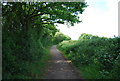 Downs Link near College Farm