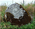 Roadside boulder