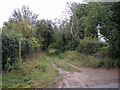 Bridleway to Back Lane