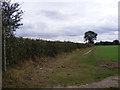 Footpath to Burnt House Lane