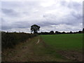 Footpath to Burnt House Lane