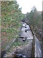 Dunalastair Fish Ladder