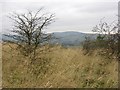 Land awaiting development, Cumbernauld