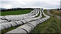 Silage bales, Newton of Inshewan