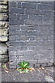 Benchmark on dismantled railway bridge, Works Road