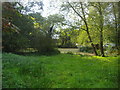 Small pond on Totteridge Lane